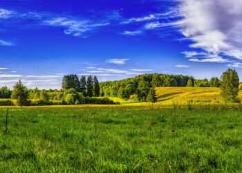 Панорама, природа, лето, поле