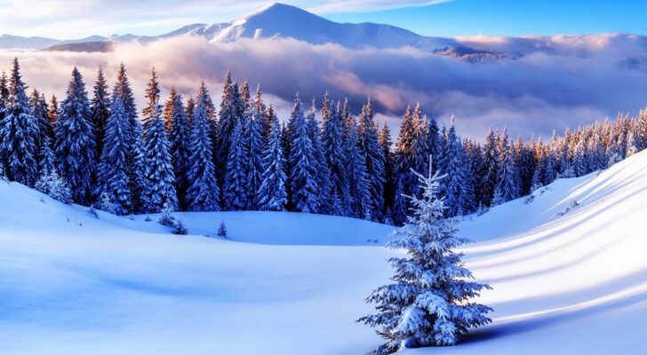 Зима в горах, природа
