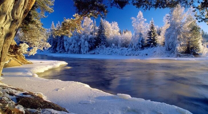 Зима, лес, река