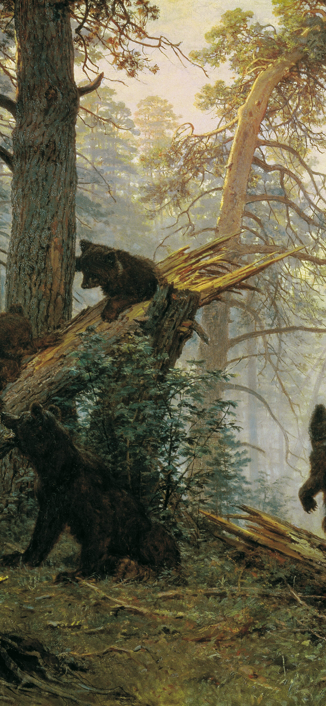 Шишкин три медведя (Большая коллекция фотографий) - treepics.ru