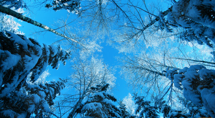 Природа, зима
