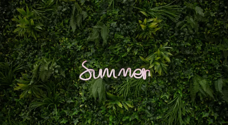 Лето, надпись Summer на траве