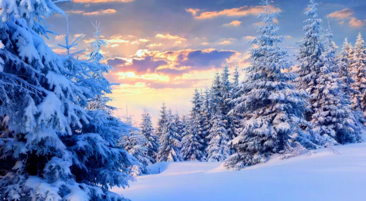 Природа, зима, снег