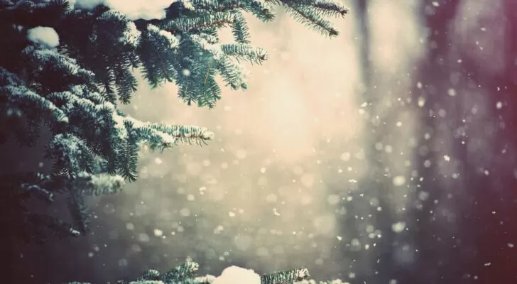 Зима, природа, снег